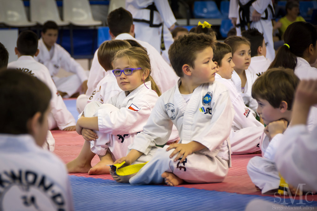 DIA DEL TAEKWONDO ABRIL 2017_3619.JPG